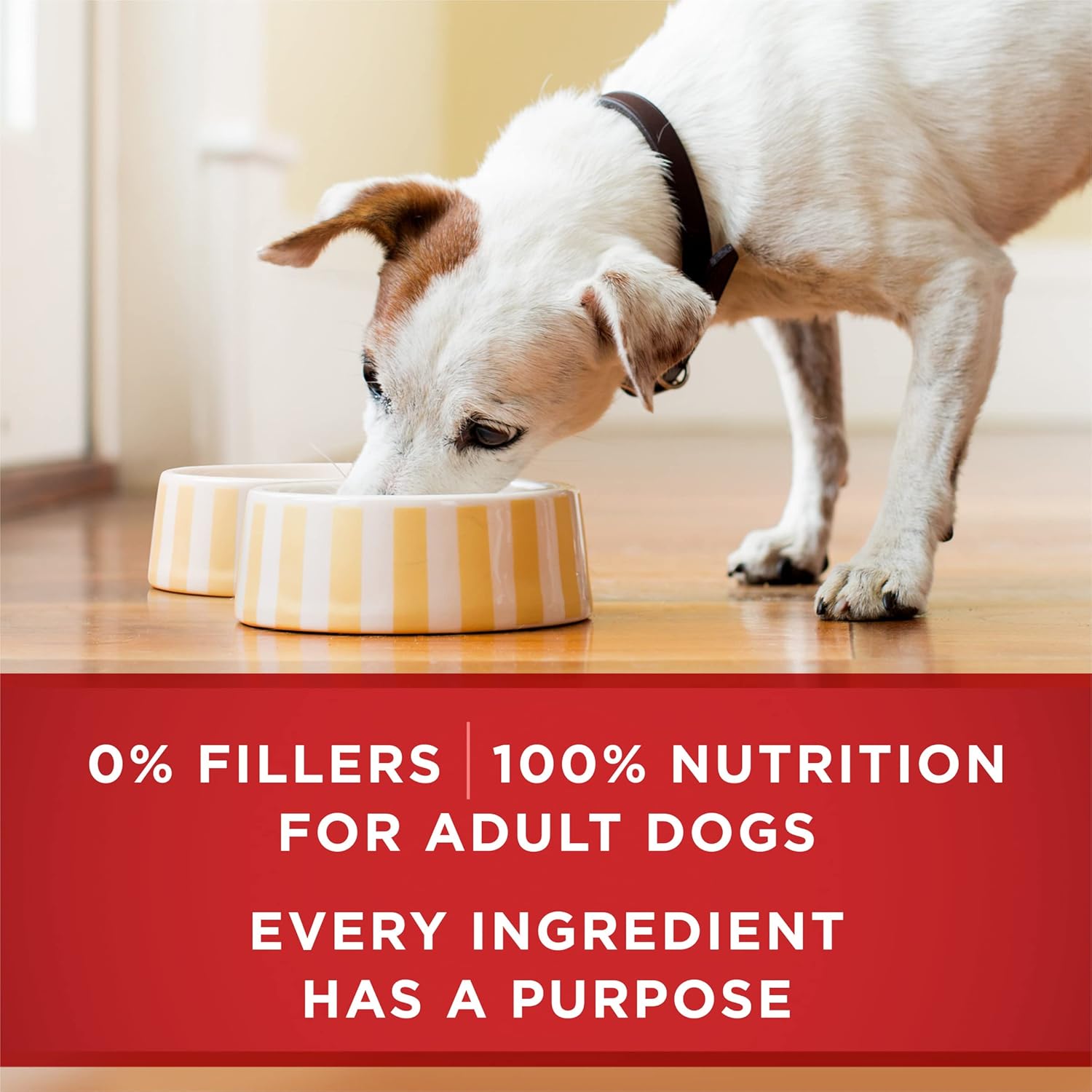 Purina ONE Classic Ground Chicken and Brown Rice, and Beef and Brown Rice Entrees Wet Dog Food Variety Pack - (Pack of 6) 13 oz. Cans - Image 9