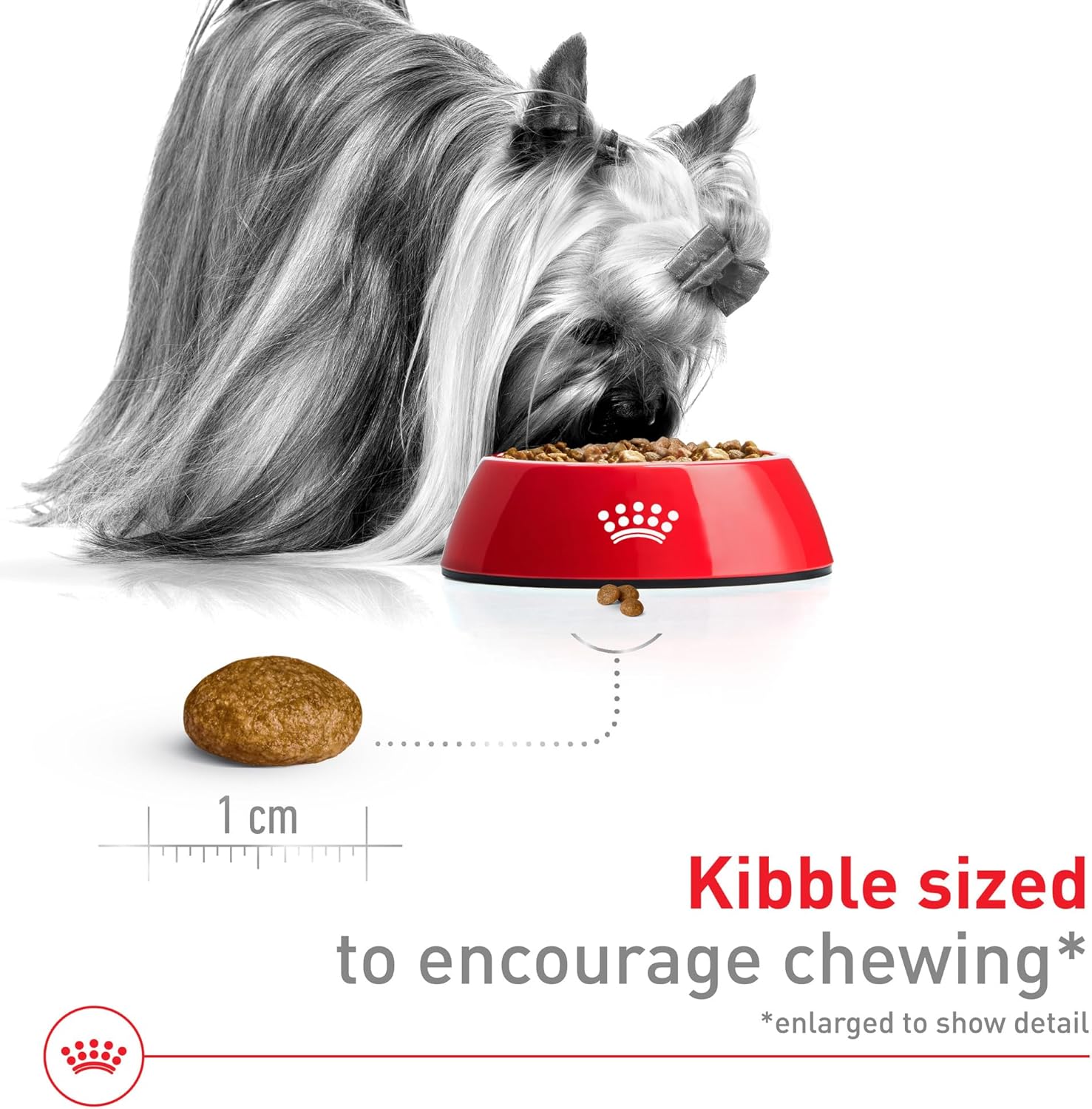 Royal Canin Size Health Nutrition X-Small 7+ Adult Dry Dog Food, 2.5 lb Bag - Image 4