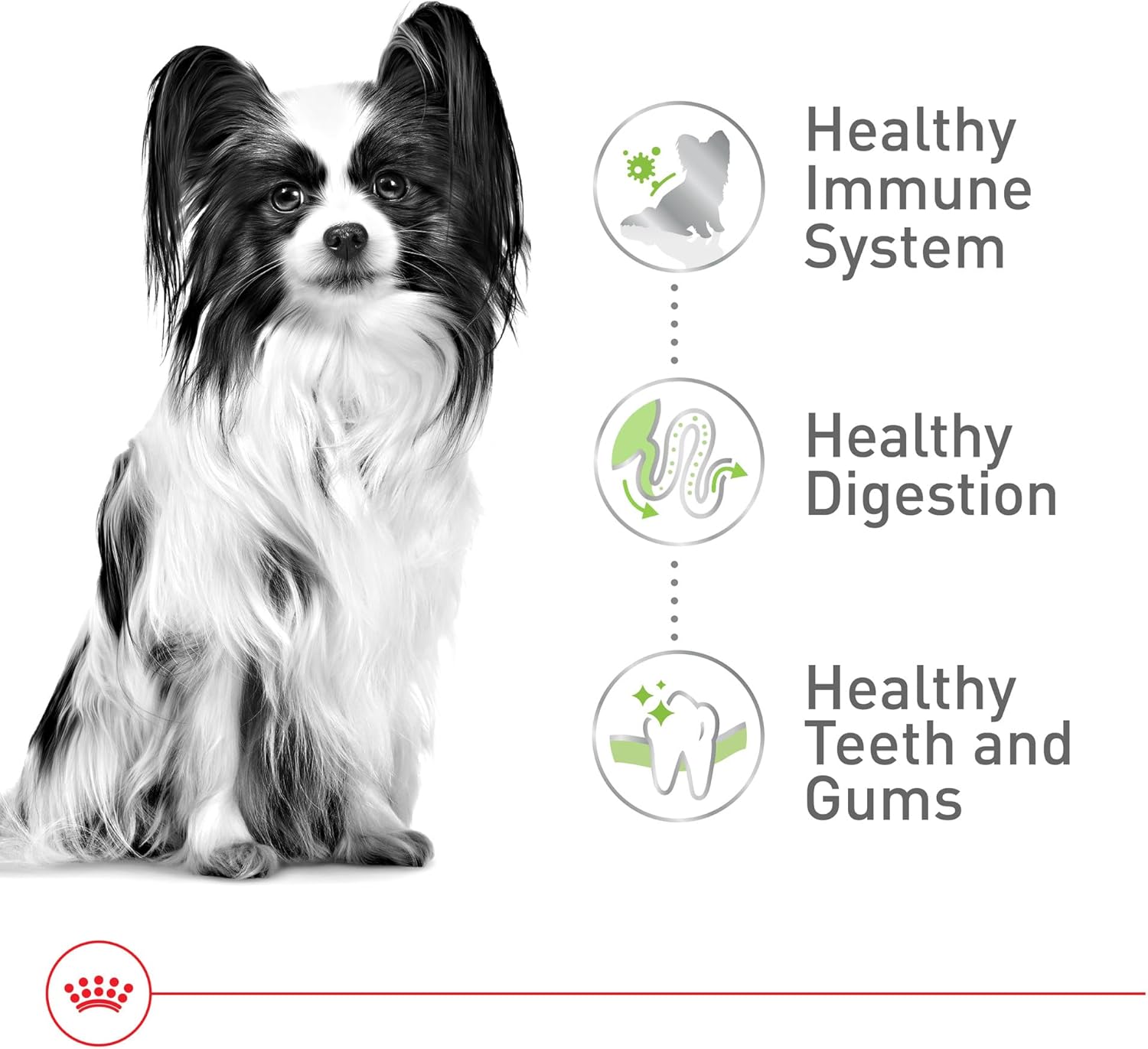 Royal Canin Size Health Nutrition X-Small 7+ Adult Dry Dog Food, 2.5 lb Bag - Image 5