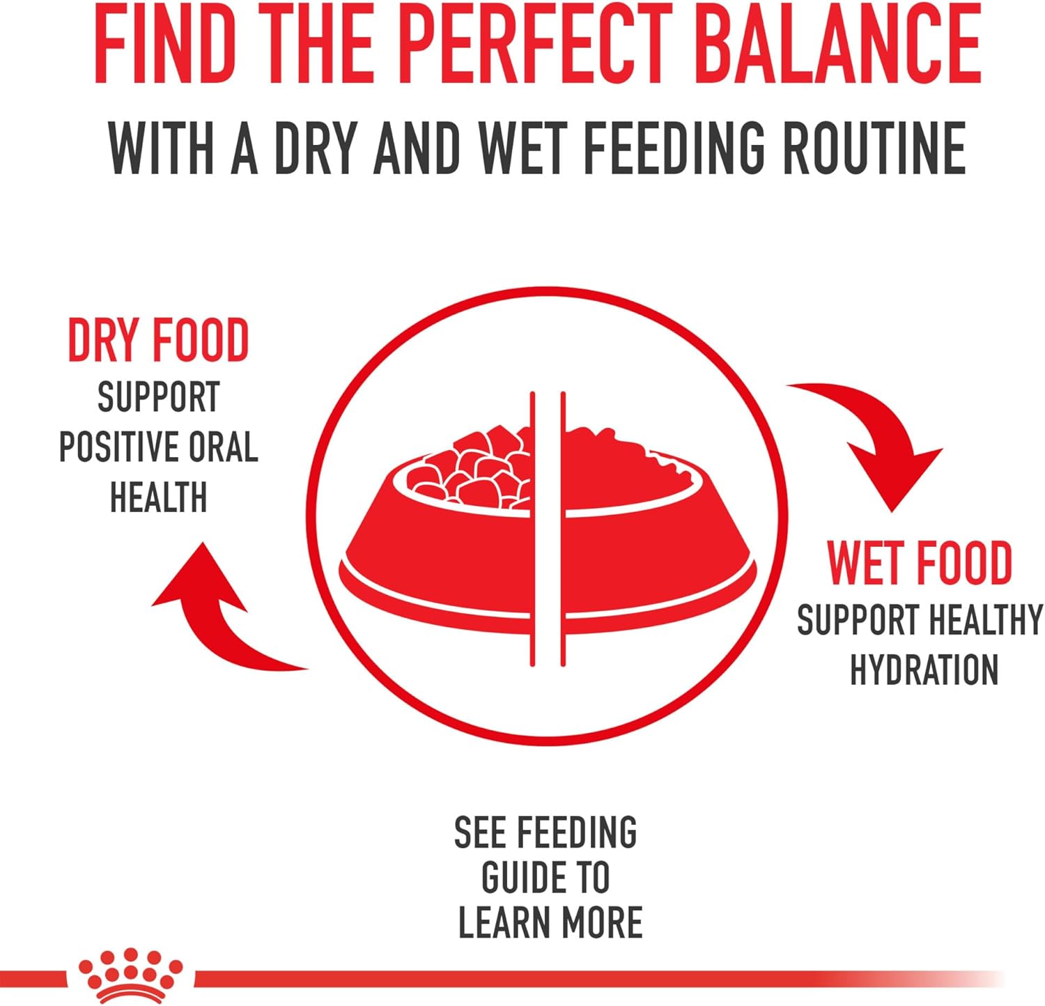 Royal Canin Size Health Nutrition X-Small 7+ Adult Dry Dog Food, 2.5 lb Bag - Image 6
