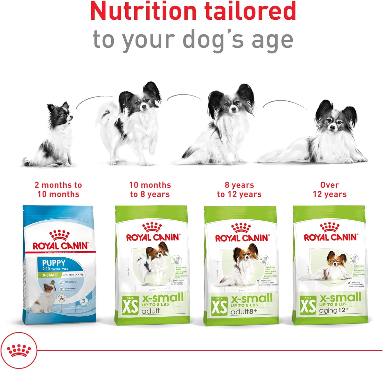 Royal Canin Size Health Nutrition X-Small 7+ Adult Dry Dog Food, 2.5 lb Bag - Image 7