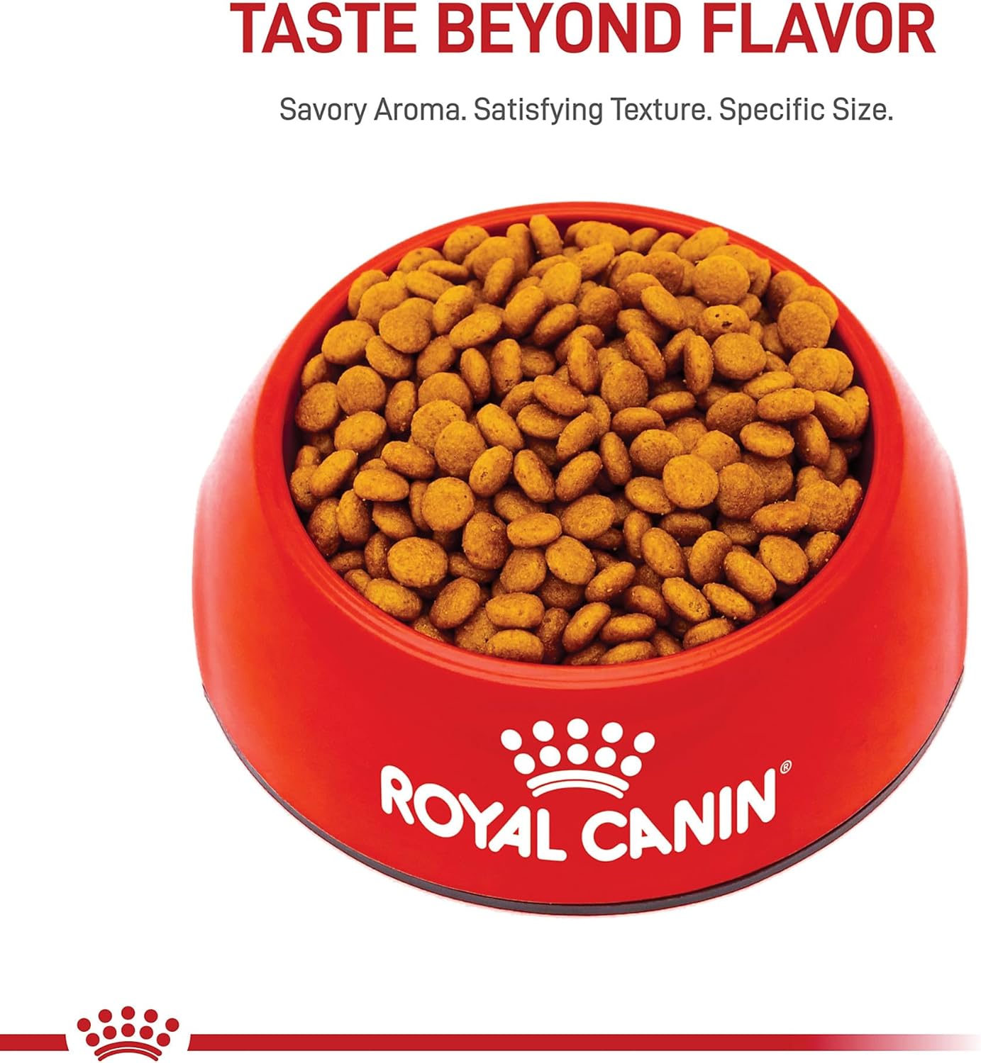 Royal Canin Size Health Nutrition X-Small 7+ Adult Dry Dog Food, 2.5 lb Bag - Image 8
