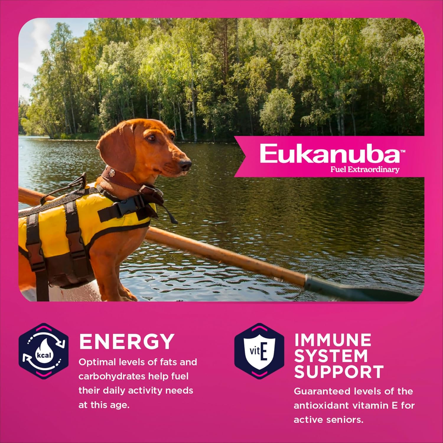 Eukanuba Senior Small Breed Dry Dog Food,14 lb bag - Image 5