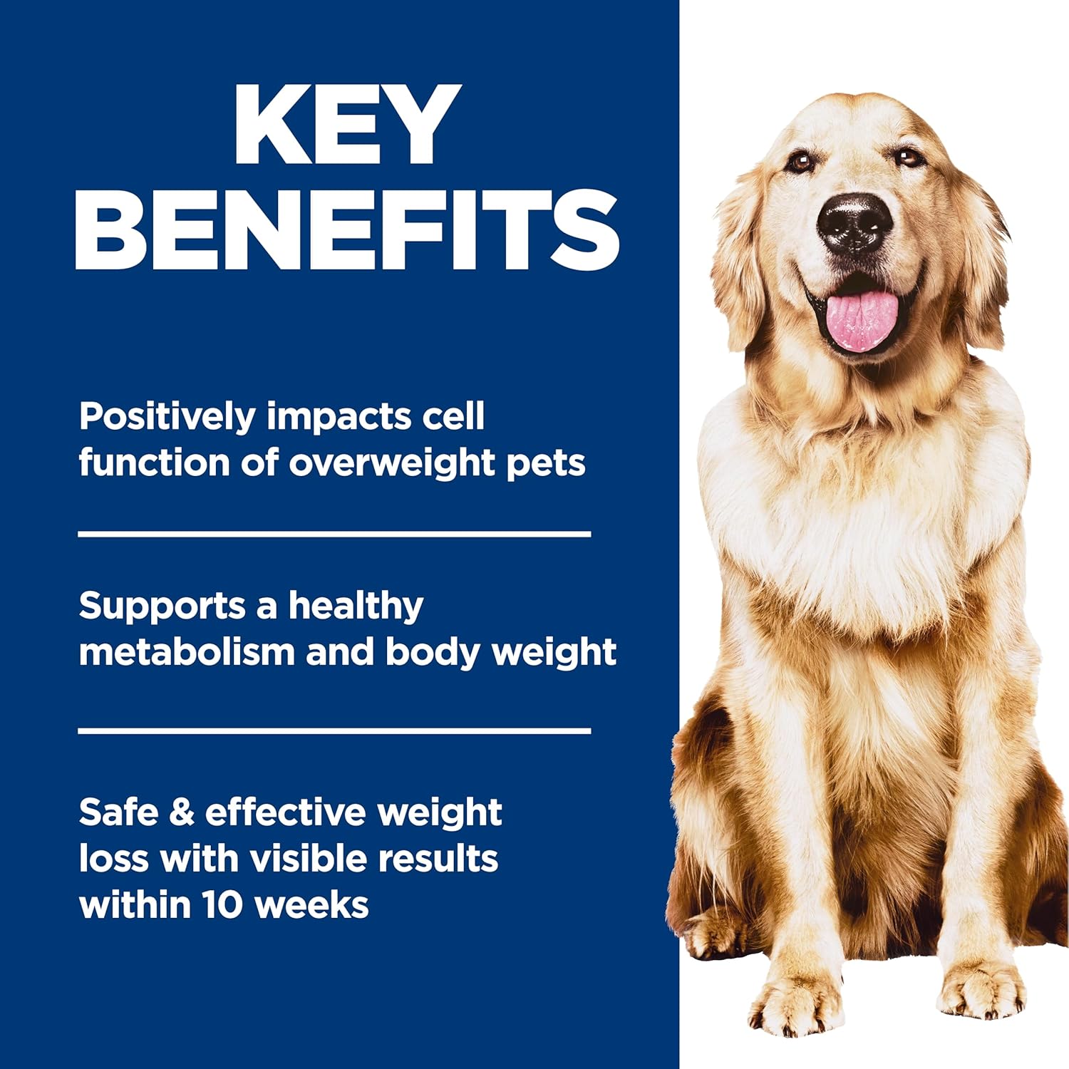 Hill's Science Diet Adult Perfect Weight Dry Dog Food, Chicken & Brown Rice, 12 lb. Bag - Image 4