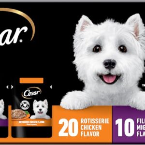 Cesar Filets in Gravy Wet Dog Food Rotisserie Chicken Flavor, Filet Mignon Flavor, and Wood-Grilled Chicken Variety Pack, Wet Food for Dogs, 1.76 oz. Mini-Pouches, 40 Count