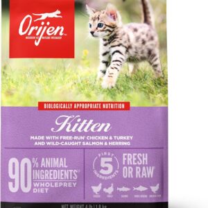 ORIJEN Grain Free High Protein Premium Dry Cat Food Kitten Recipe 4lb Bag