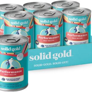 Solid Gold High Protein Wet Dog Food for Large Dogs & Small Dogs - Soft Grain Free Canned Dog Food w/Real Beef, Prebiotics & Superfoods for Gut Health & Immune Support - All Ages - 6ct 13.2oz Cans