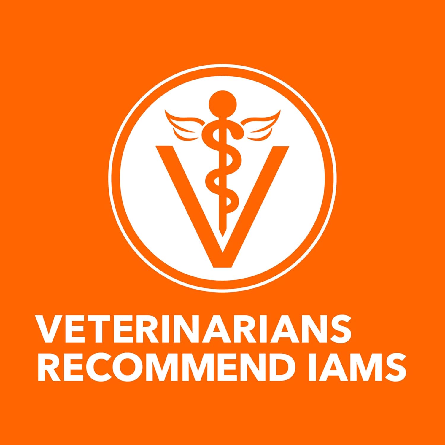 IAMS Perfect Portions Grain Free Wet Cat Food, Indoor Adult Cat Food Wet Cuts in Gravy, Variety Pack: Tuna & Salmon Recipe, 1.98 lb. (Pack of 1) Twin-Pack Trays - Image 11