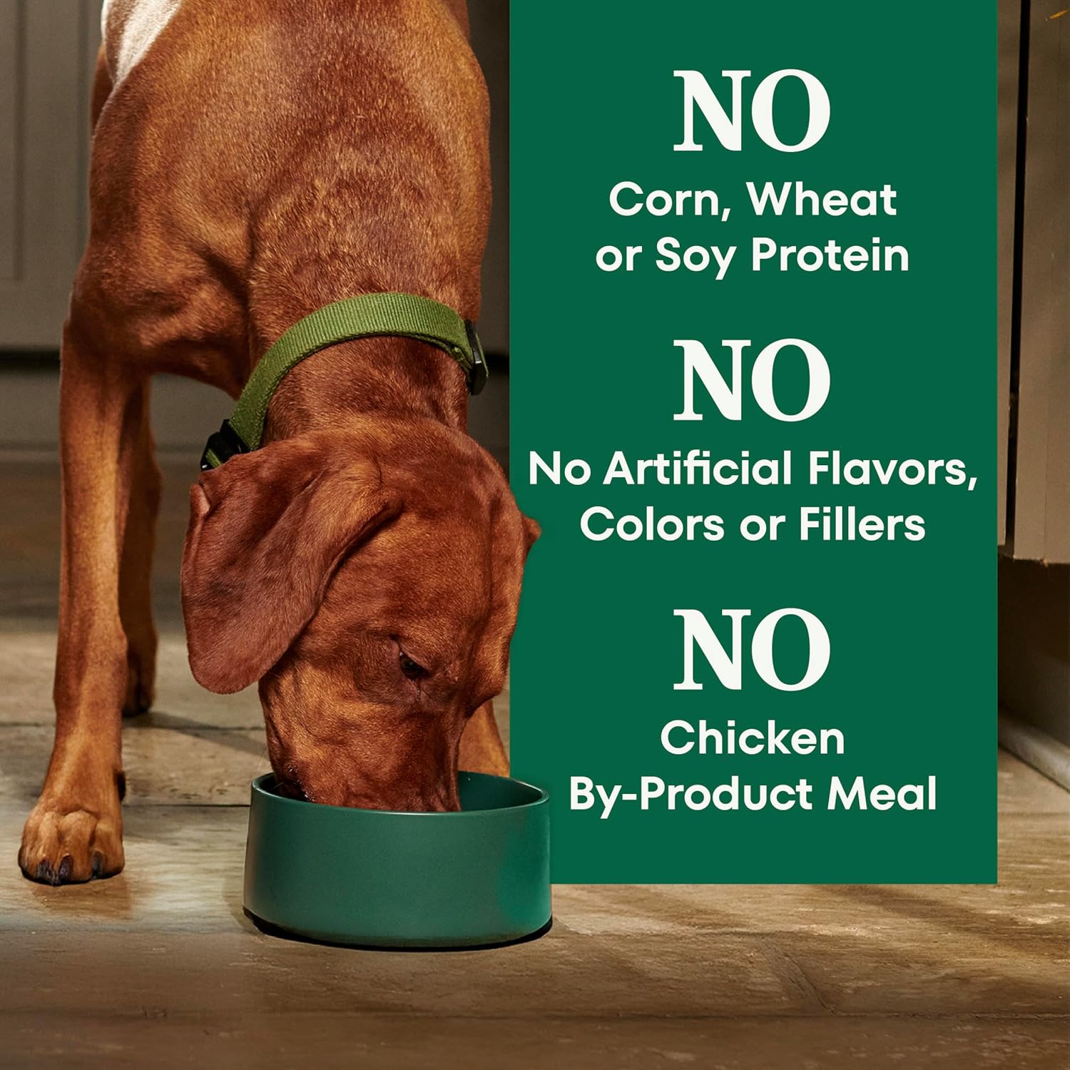 Nutro Natural Choice Senior Dog Food, Large Breed Dry Dog Food, Chicken and Brown Rice, 30 lbs. - Image 7