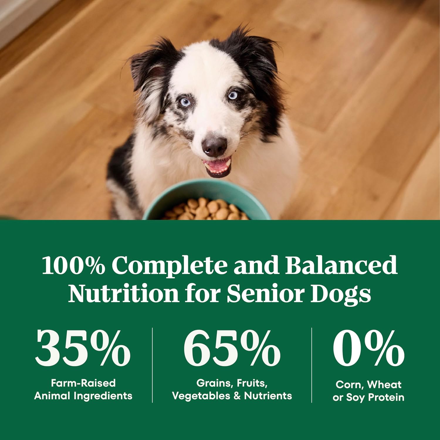 Nutro Natural Choice Senior Dog Food, Large Breed Dry Dog Food, Chicken and Brown Rice, 30 lbs. - Image 8