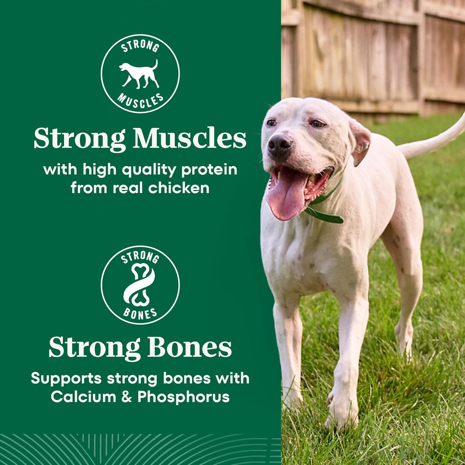 Nutro Natural Choice Senior Dog Food, Large Breed Dry Dog Food, Chicken and Brown Rice, 30 lbs. - Image 9