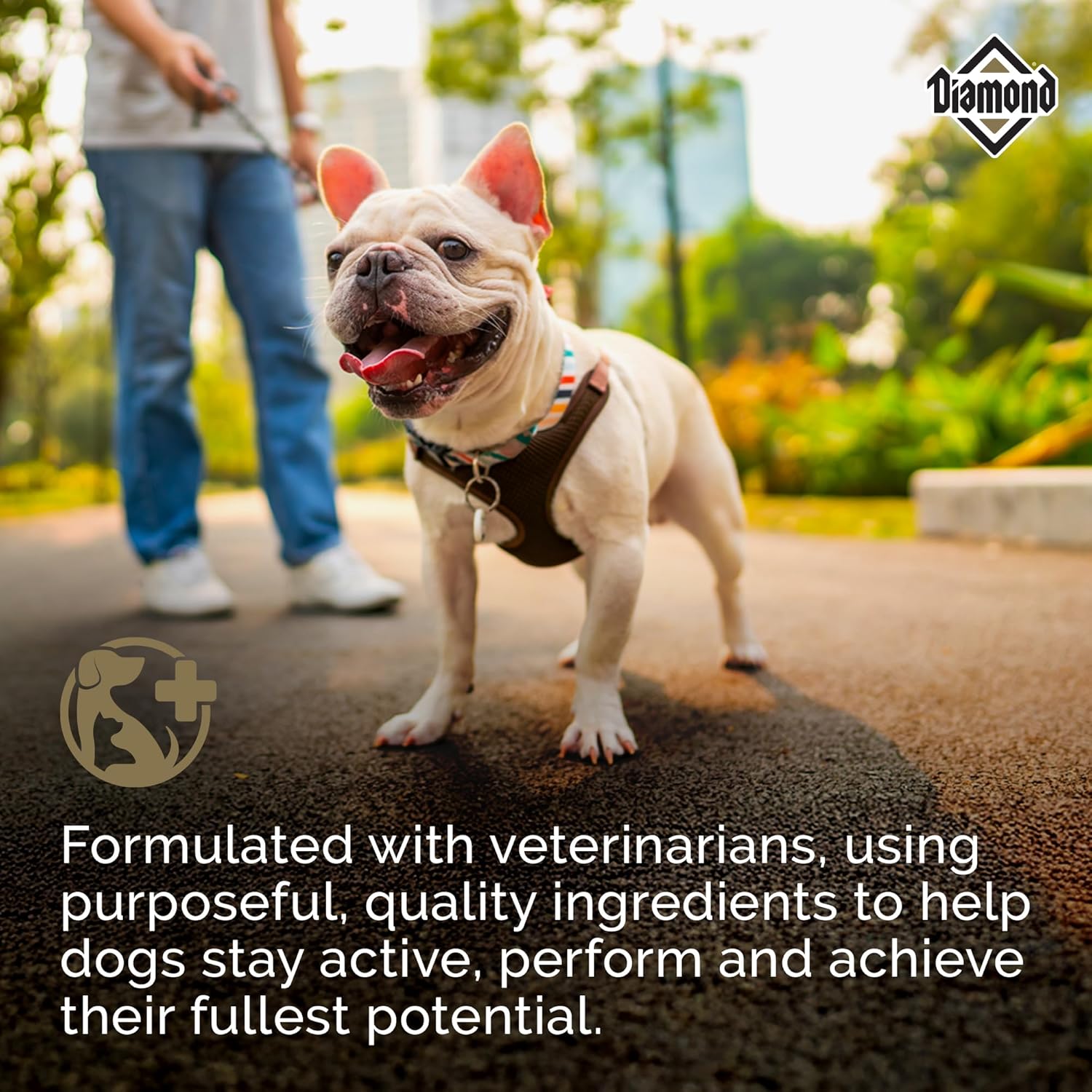 Diamond Maintenance Adult Dry Dog Food 22/12 for Moderately Active Dogs 40lb Bag - Image 5