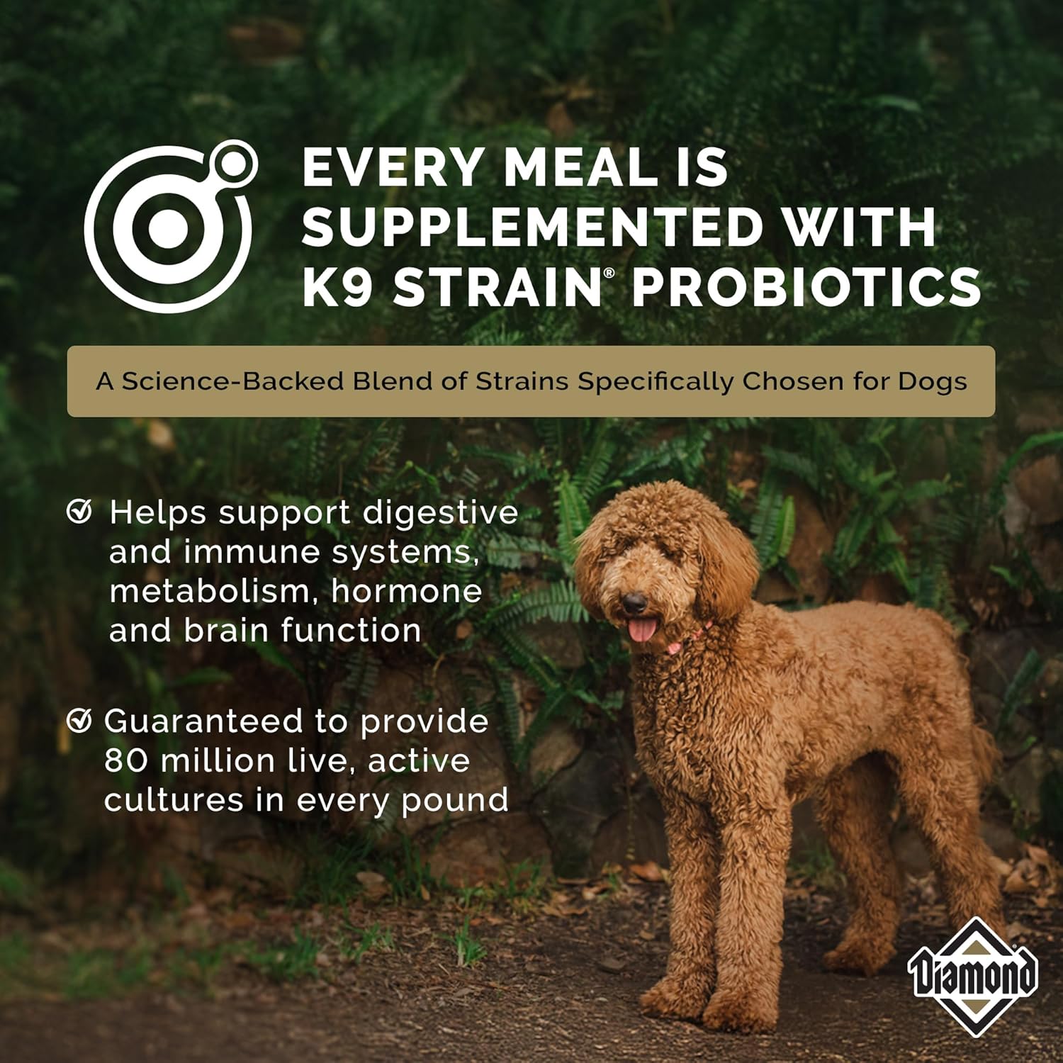 Diamond Maintenance Adult Dry Dog Food 22/12 for Moderately Active Dogs 40lb Bag - Image 6