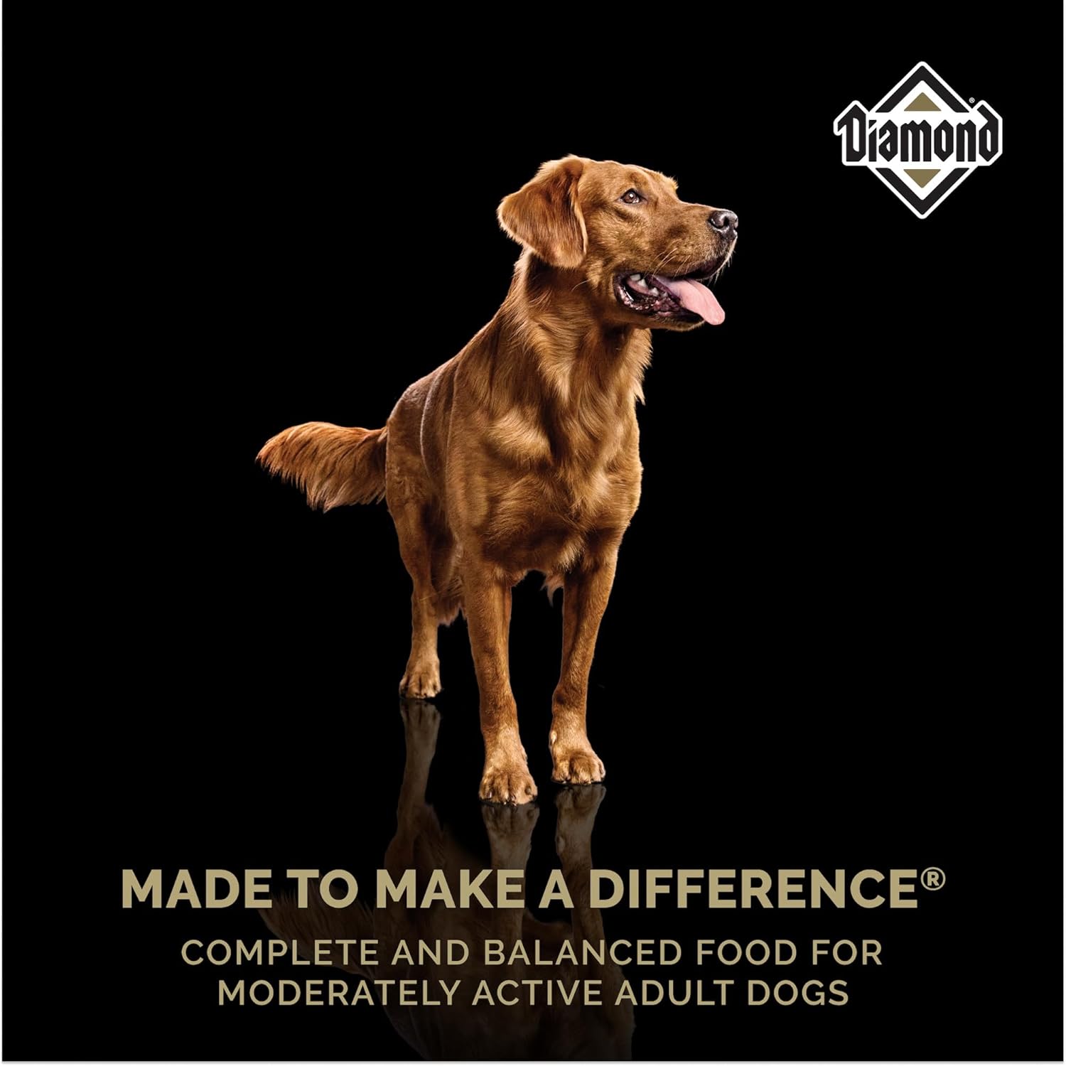 Diamond Maintenance Adult Dry Dog Food 22/12 for Moderately Active Dogs 40lb Bag - Image 7
