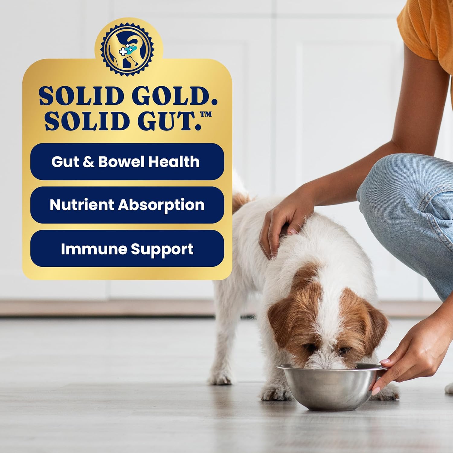 Solid Gold Wet Dog Food Topper & Meal Cups - W/Chicken, Beef & Pumpkin for Sensitive Stomachs, Gut Health & Digestive System Support - for Adult & Senior Small Breed & Large Breed Dogs - 3.5oz/6 Pack - Image 6