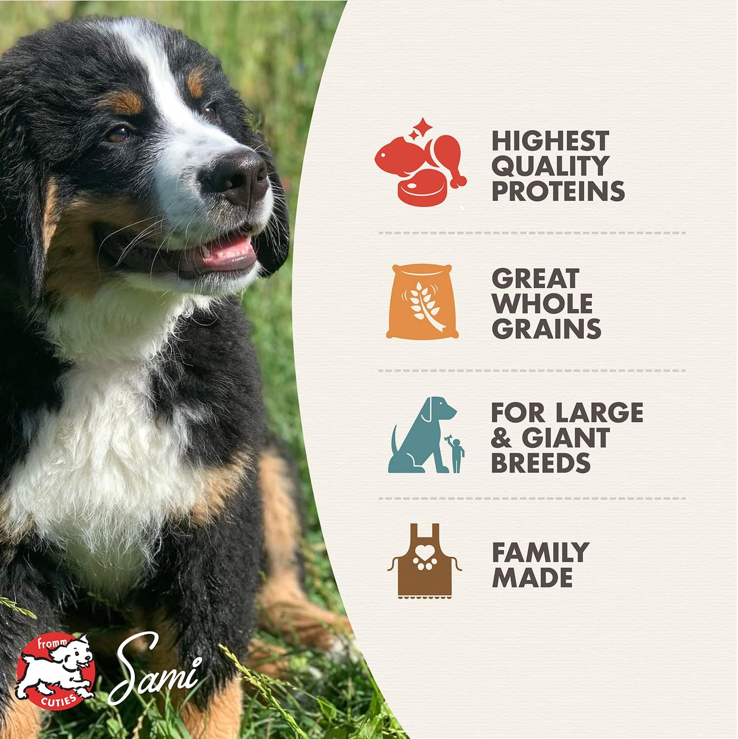Fromm Large Breed Puppy Gold Premium Dry Dog Food - Dry Puppy Food for Large Breeds - Chicken Recipe - 5 lb - Image 3