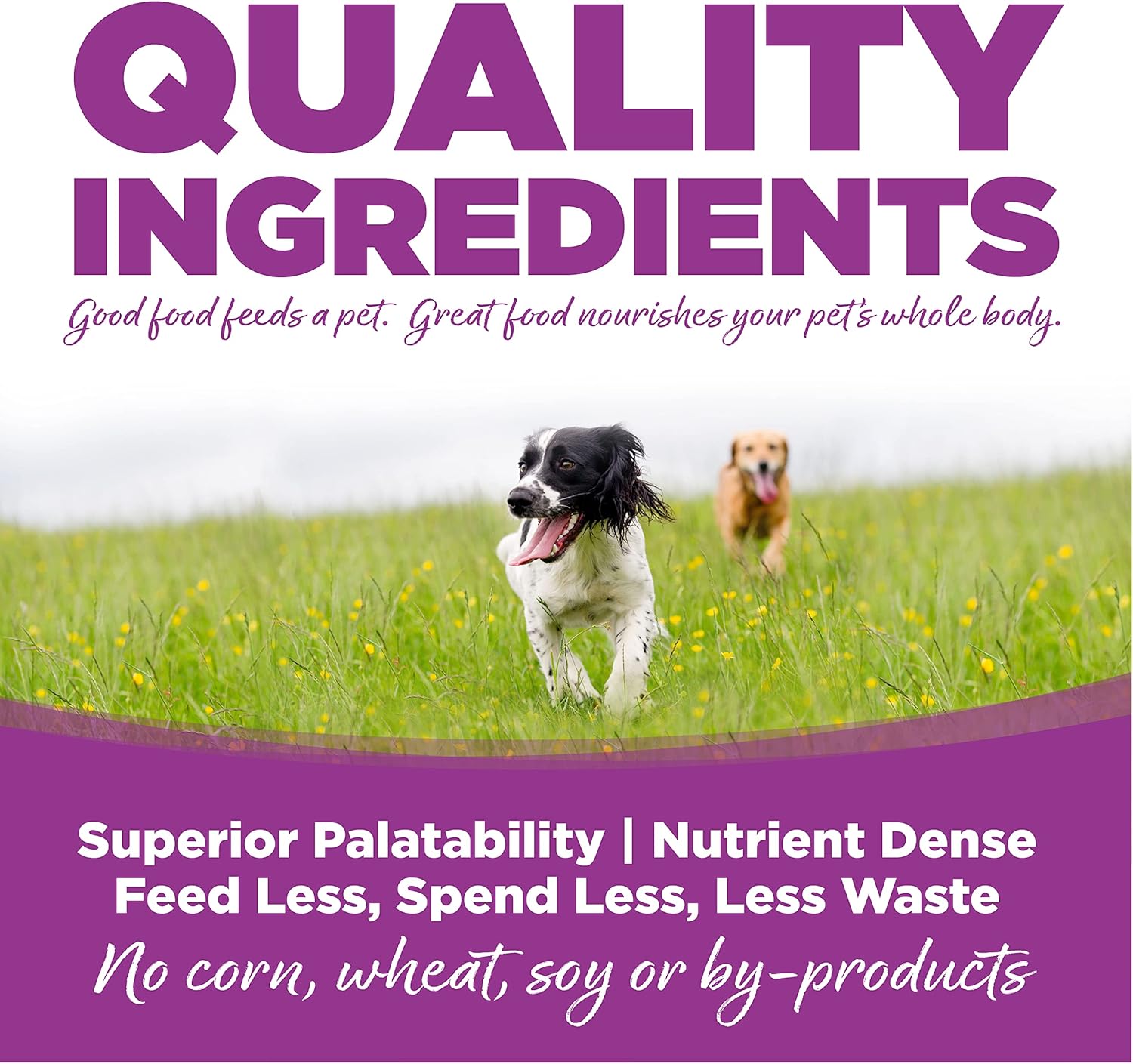 NutriSource Puppy Food for Large Breeds, Chicken and Rice, 26LB - Image 3
