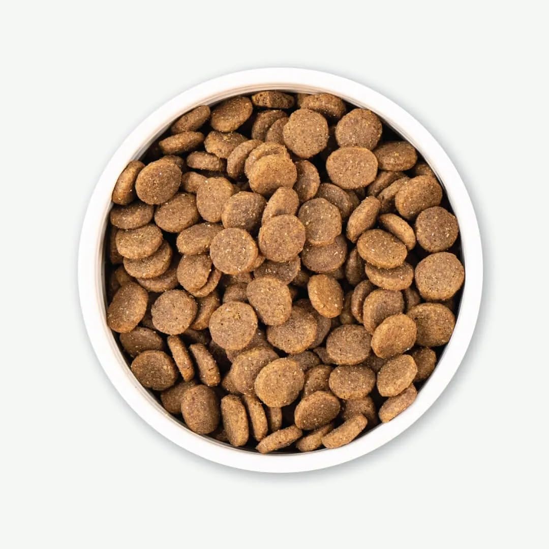 Earthborn Holistic Great Plains Feast with Bison Grain-Free Natural Dry Dog Food, 25 lb - Image 5