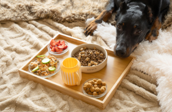 What Dogs Should Eat – Muenster Pet