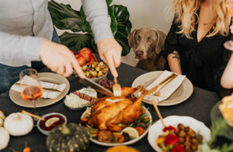 Can Dogs Eat Turkey? Safe Feeding Tips for Pet Owners – Muenster Pet