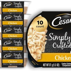 Cesar Simply Crafted Adult Wet Dog Food Toppers for Dry Food, Chicken, 1.3 oz Tubs, 10 Count
