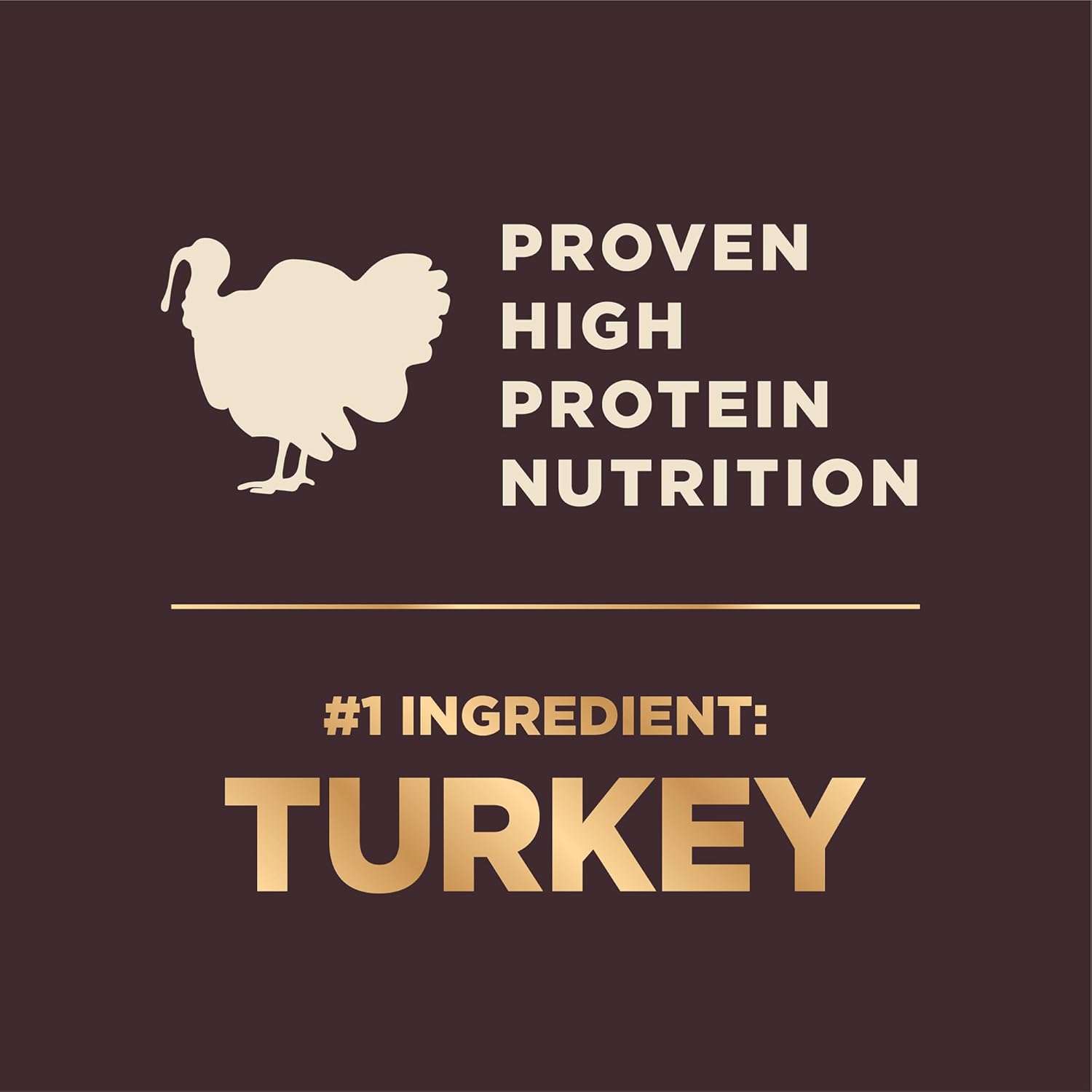 Wellness CORE+ Small Breed Adult Dry Dog Food with Freeze Dried Pieces, Wholesome Grain Kibble+, Natural, High Protein, Turkey and Chicken Recipe, 4 lb Bag - Image 3