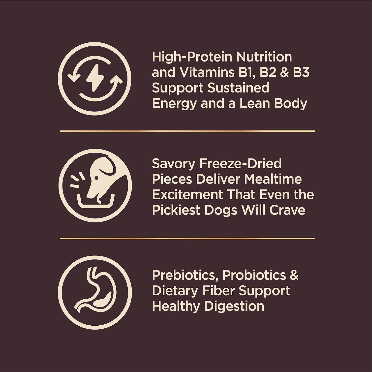 Wellness CORE+ Small Breed Adult Dry Dog Food with Freeze Dried Pieces, Wholesome Grain Kibble+, Natural, High Protein, Turkey and Chicken Recipe, 4 lb Bag - Image 4