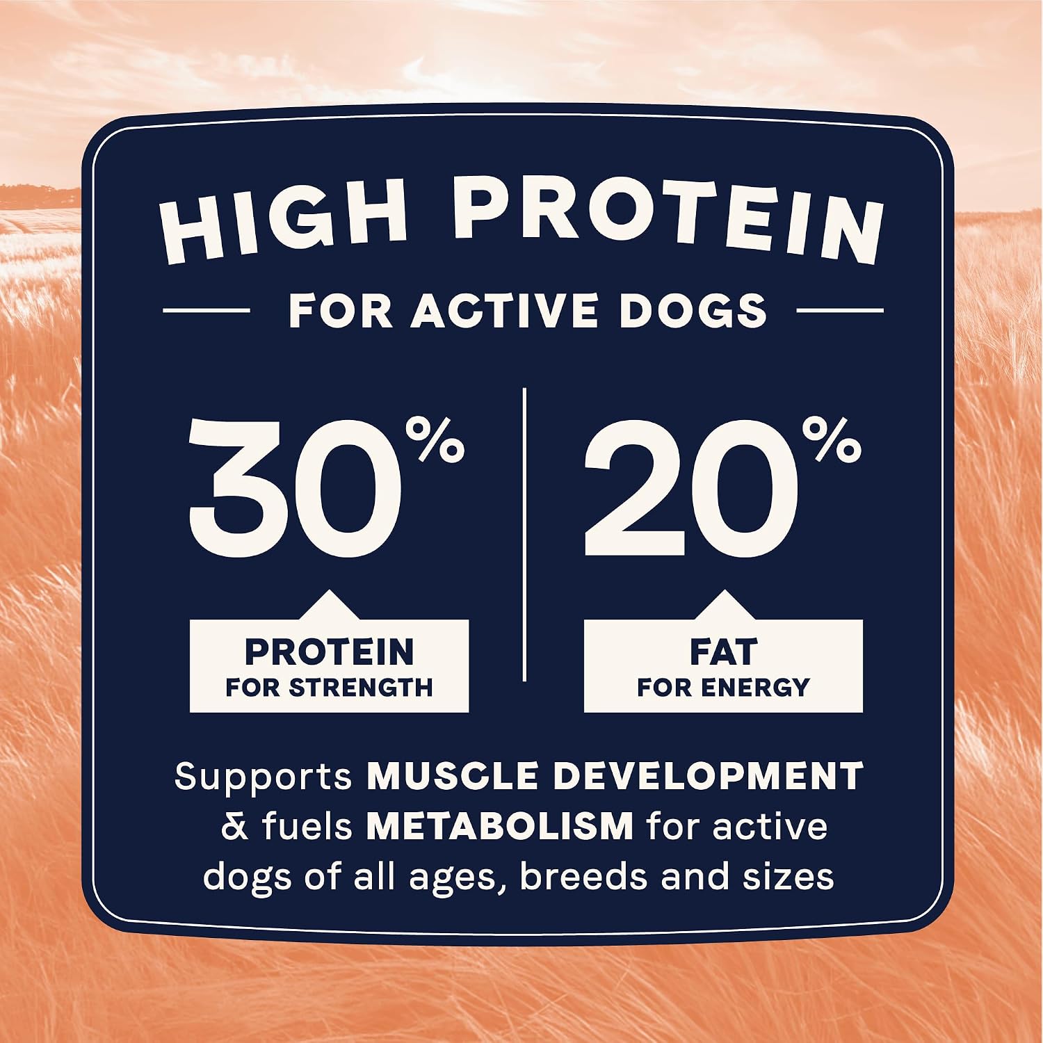 Canidae All Life Stages High Protein Multi-Protein Recipe with Chicken, Turkey, Lamb, and Fish – Premium Dry Dog Food for All Ages, Breeds, and Sizes– 27 lbs. - Image 5