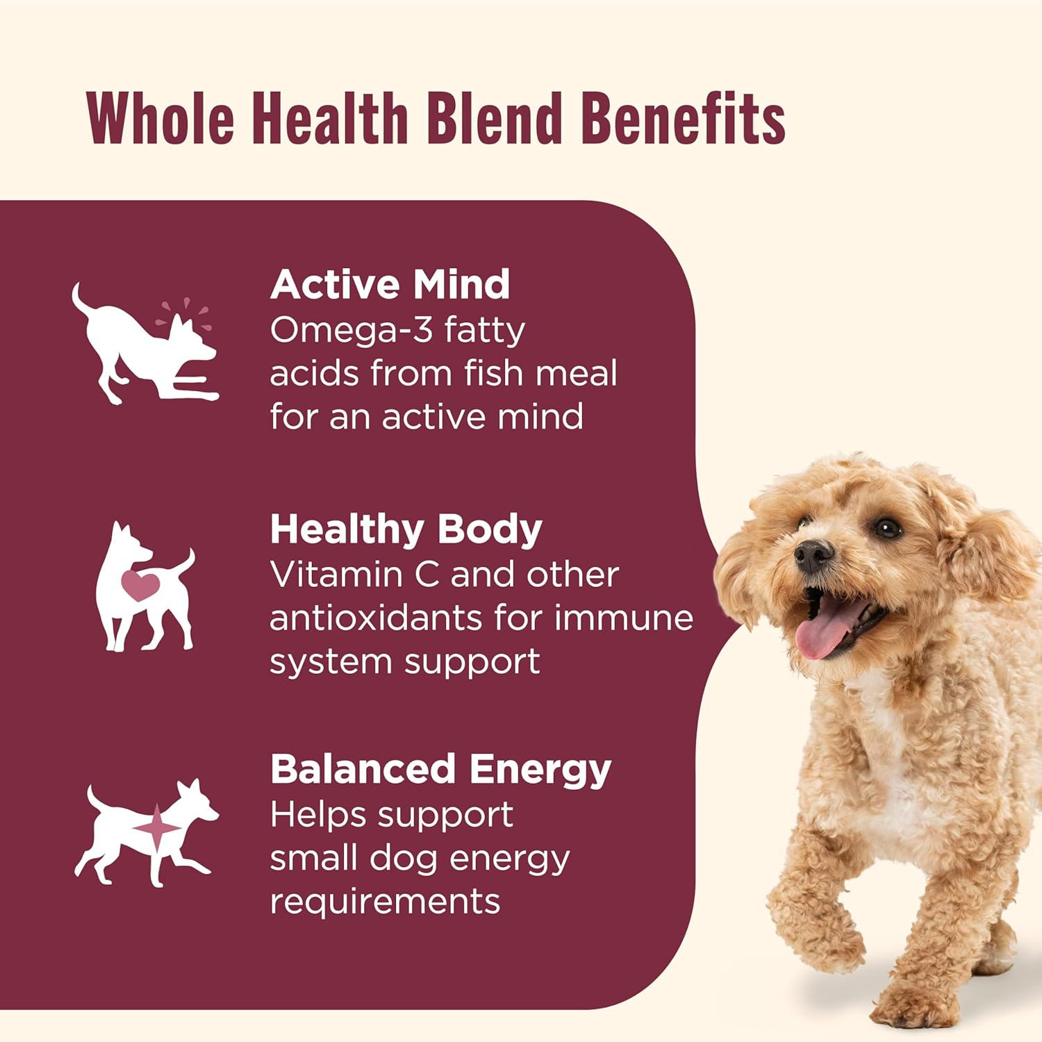 Nutrish Small Breed Real Chicken & Veggies Recipe Whole Health Blend Dry Dog Food, 6 lb. Bag, Packaging May Vary (Rachael Ray) - Image 4