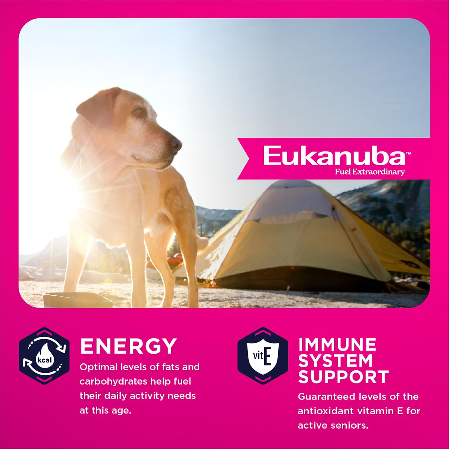 Eukanuba Senior Large Breed Dry Dog Food, 33 lb Bag - Image 6