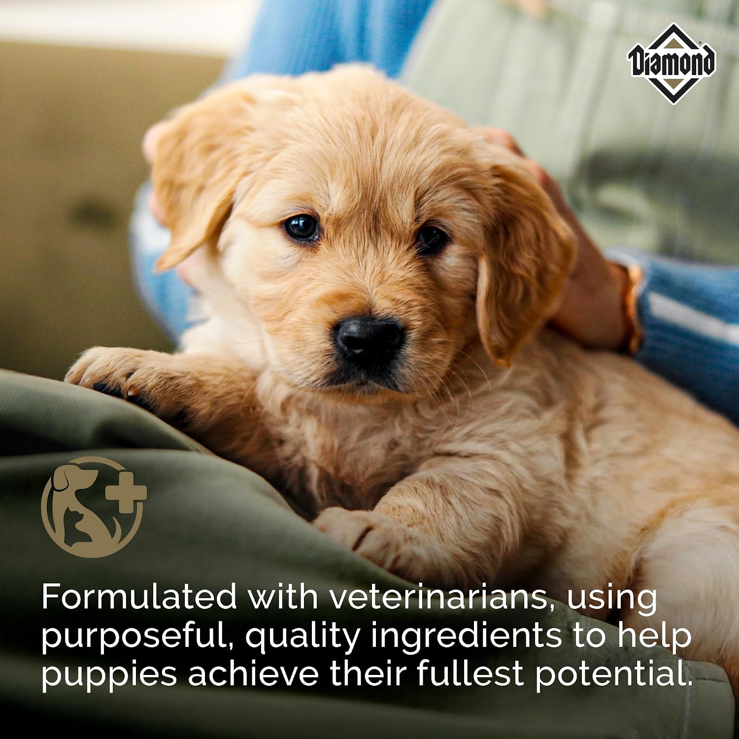 Diamond Puppy 31/20 High Protein Formula for All Life Stages Including Puppies and Pregnant and Nursing Adult Dogs Dry Food 20lb - Image 5