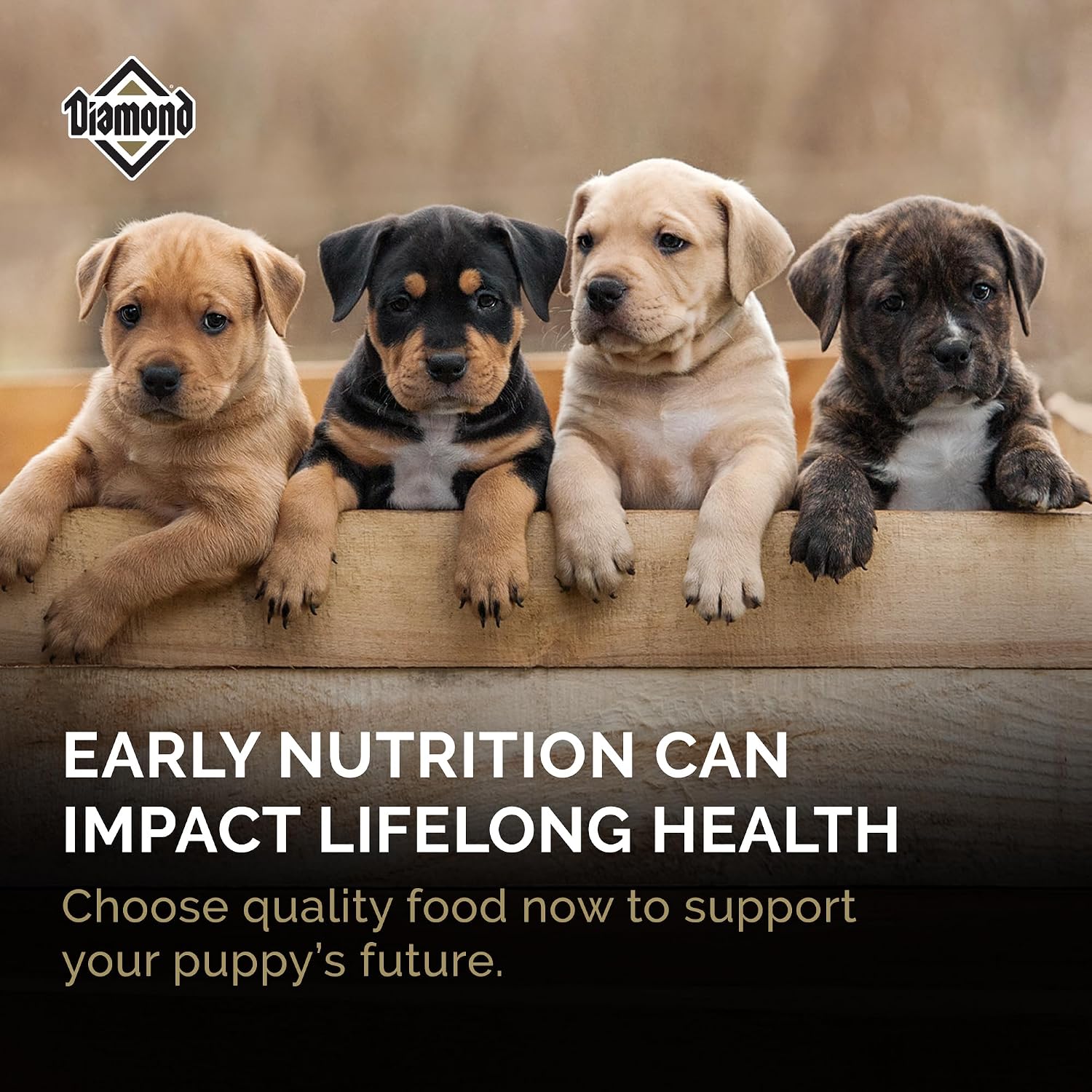 Diamond Puppy 31/20 High Protein Formula for All Life Stages Including Puppies and Pregnant and Nursing Adult Dogs Dry Food 20lb - Image 6