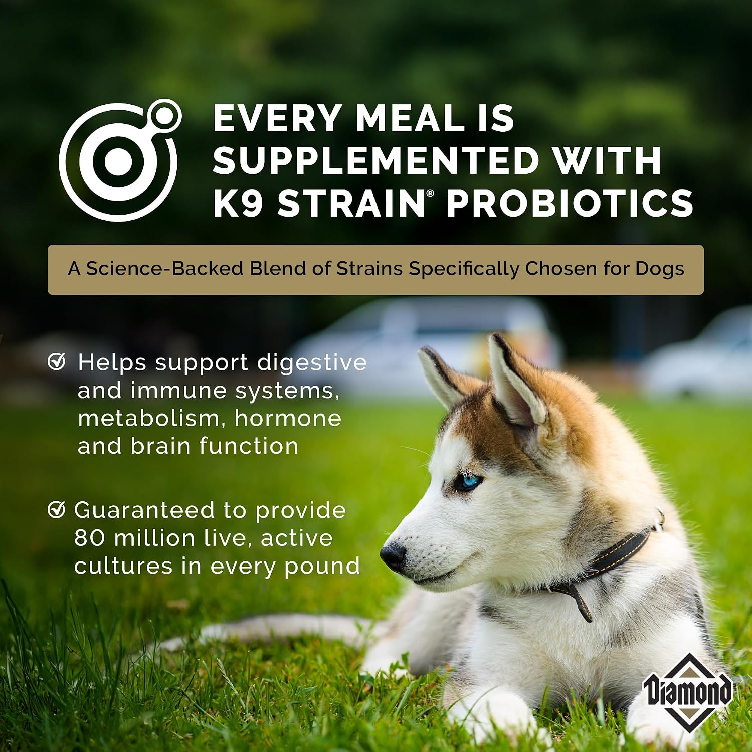 Diamond Puppy 31/20 High Protein Formula for All Life Stages Including Puppies and Pregnant and Nursing Adult Dogs Dry Food 20lb - Image 7