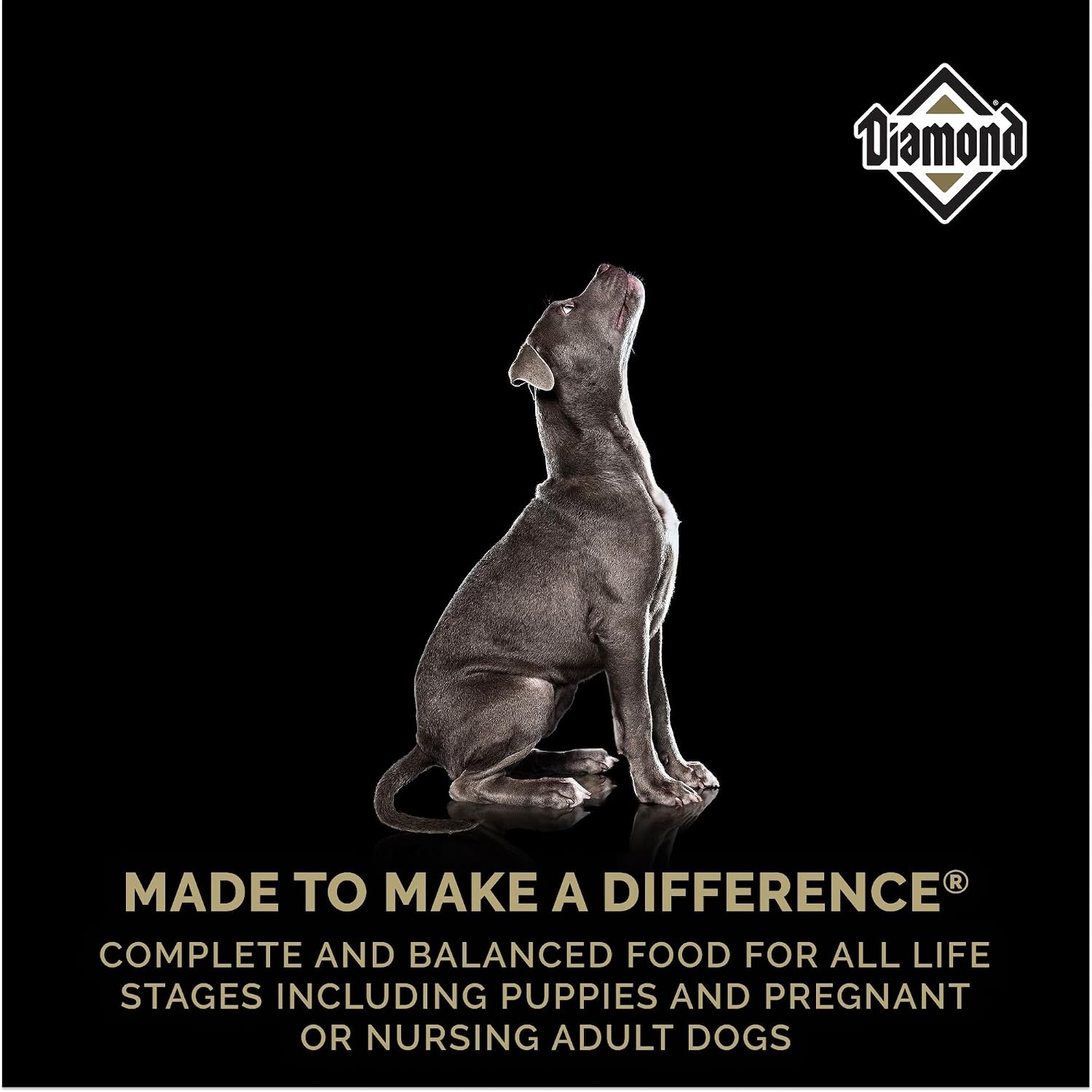 Diamond Puppy 31/20 High Protein Formula for All Life Stages Including Puppies and Pregnant and Nursing Adult Dogs Dry Food 20lb - Image 8