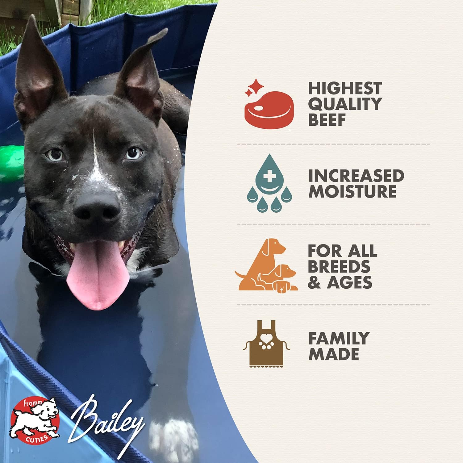 Fromm Four-Star Nutritionals Shredded Beef in Gravy Entrée Dog Food - Premium Wet Dog Food - Beef Recipe - Case of (12) 12 oz Cans - Image 3