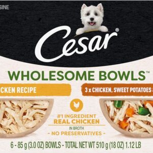 Cesar Wholesome Bowls Adult Wet Dog Food, Chicken Recipe and Chicken, Sweet Potatoes & Green Beans Recipe Variety Pack, Wet Food for Dogs, 3 Oz. Bowls, 6 Count