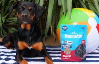 Beef for Dogs – Muenster Pet
