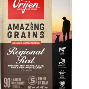 ORIJEN Amazing Grains High Protein Dry Dog Food Regional Red Recipe 22.5lb Bag