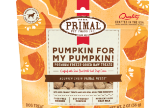 Freeze-Dried Raw Dog Treats – Pumpkin for My Pumpkin – Primal Pet Foods