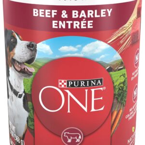 Purina ONE Beef & Barley Wet Dog Food, Tender Cuts in Gravy (12) 13 oz Cans | Tender Cuts in Gravy, natural, high protein dog food with zero fillers and added vitamins, minerals, and nutrients