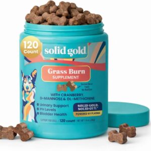 Solid Gold Dog Pee Grass Repair Chews - Dog Urine Neutralizer for Lawn w/Urinary Tract, Kidney, Bladder & pH Support to Reduce Grass Pee Spots & Burn - Pet Urine Neutralizer Treats - Bacon - 120ct