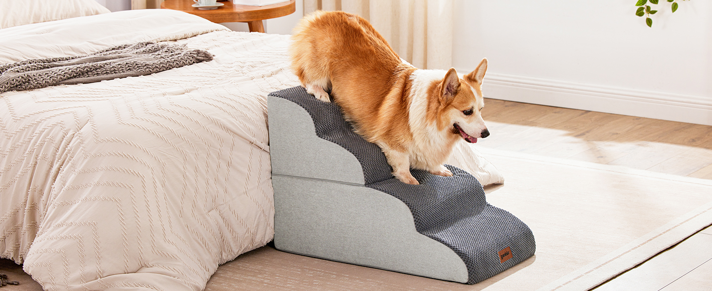 Dog Stairs