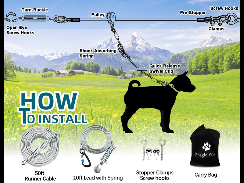 how to set up dog trolley system