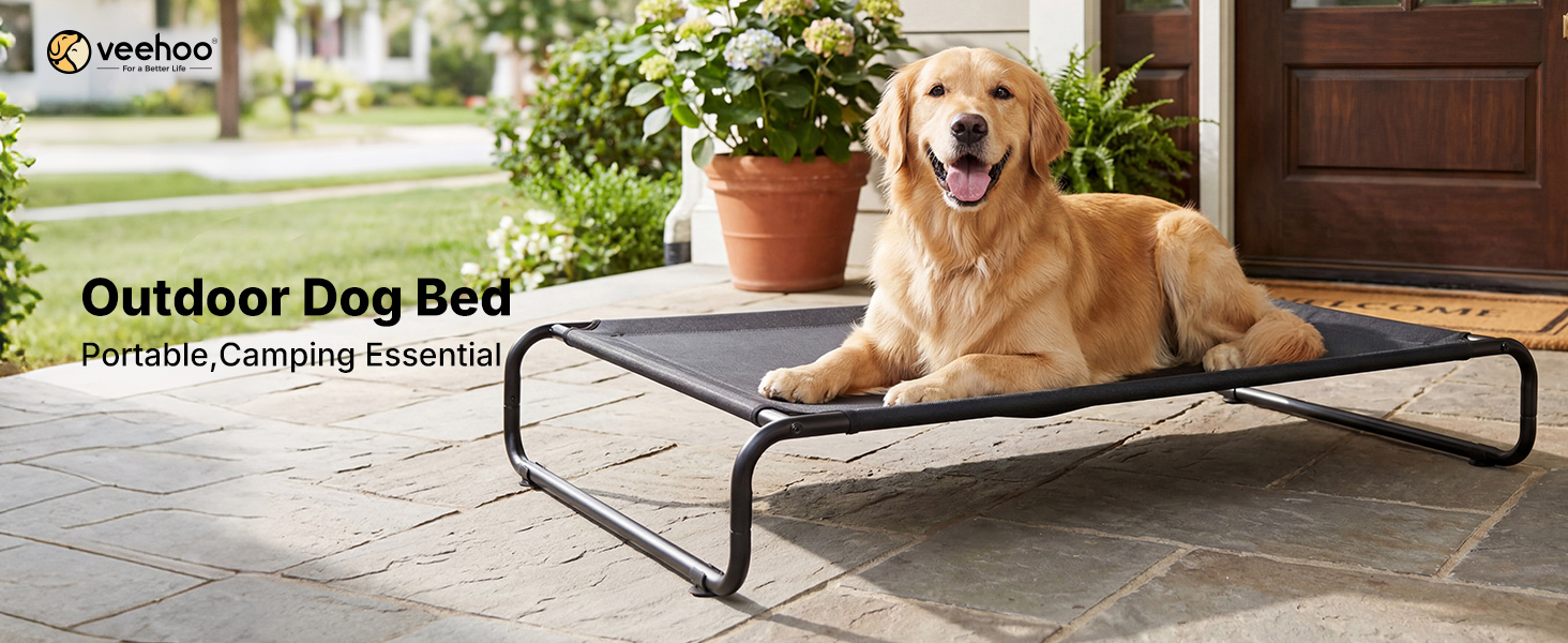 elevated dog bed