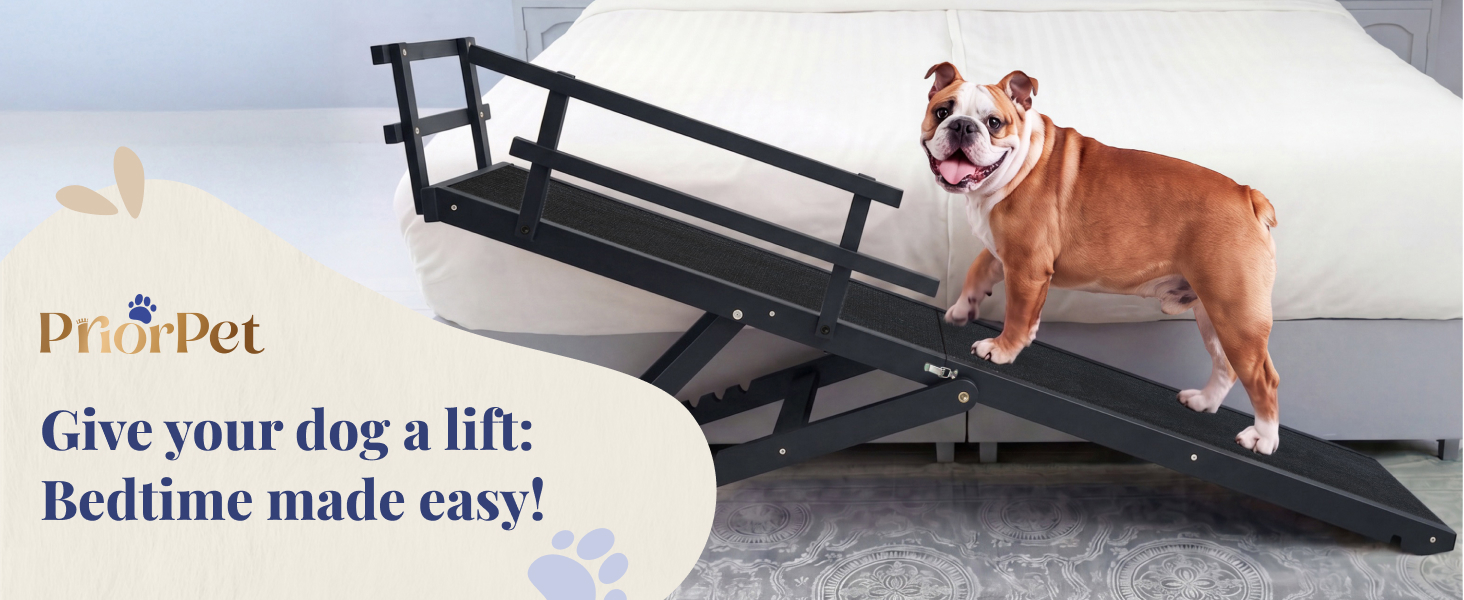 Give your dog a lift