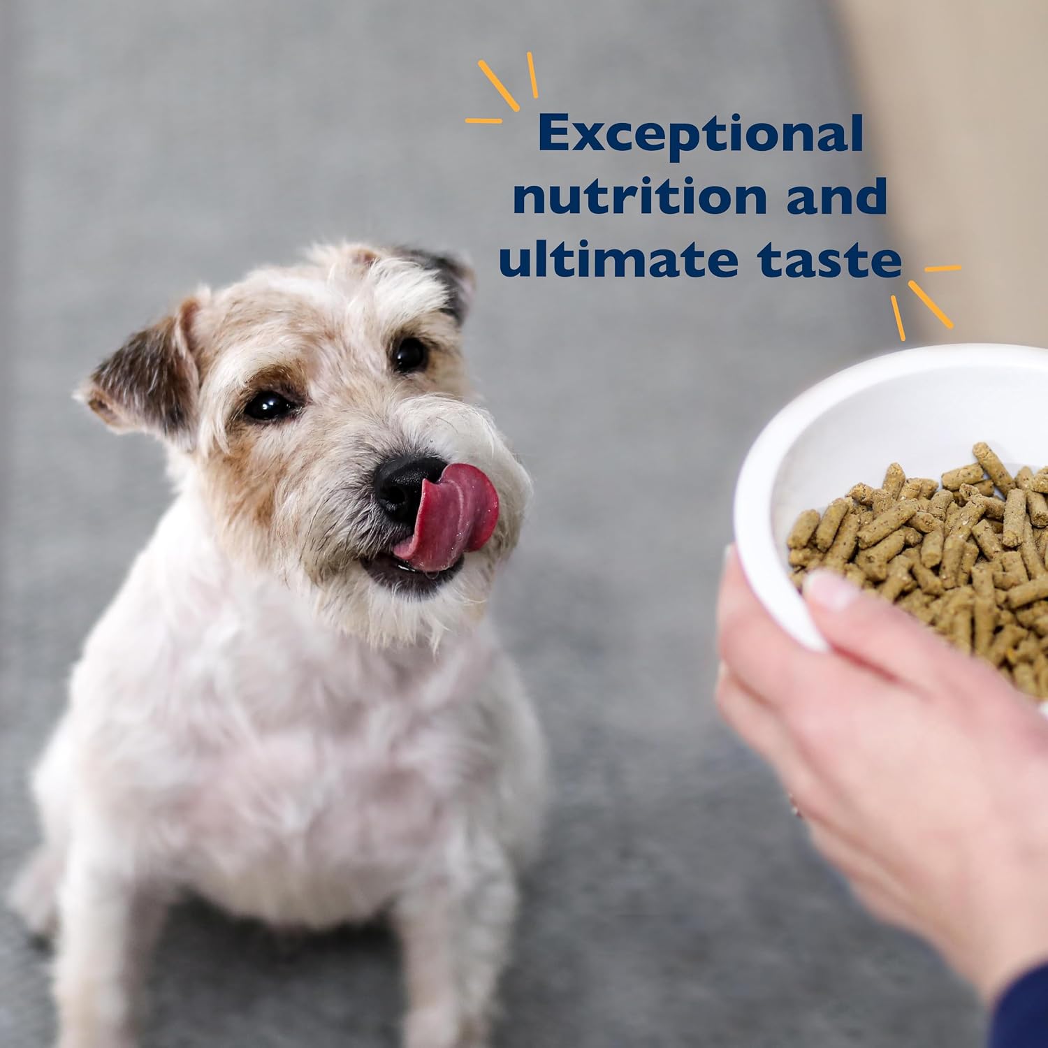 Bil-Jac Small Breed Senior Dry Dog Food, Made with Real Chicken, 6lb (2-Pack) - Image 5