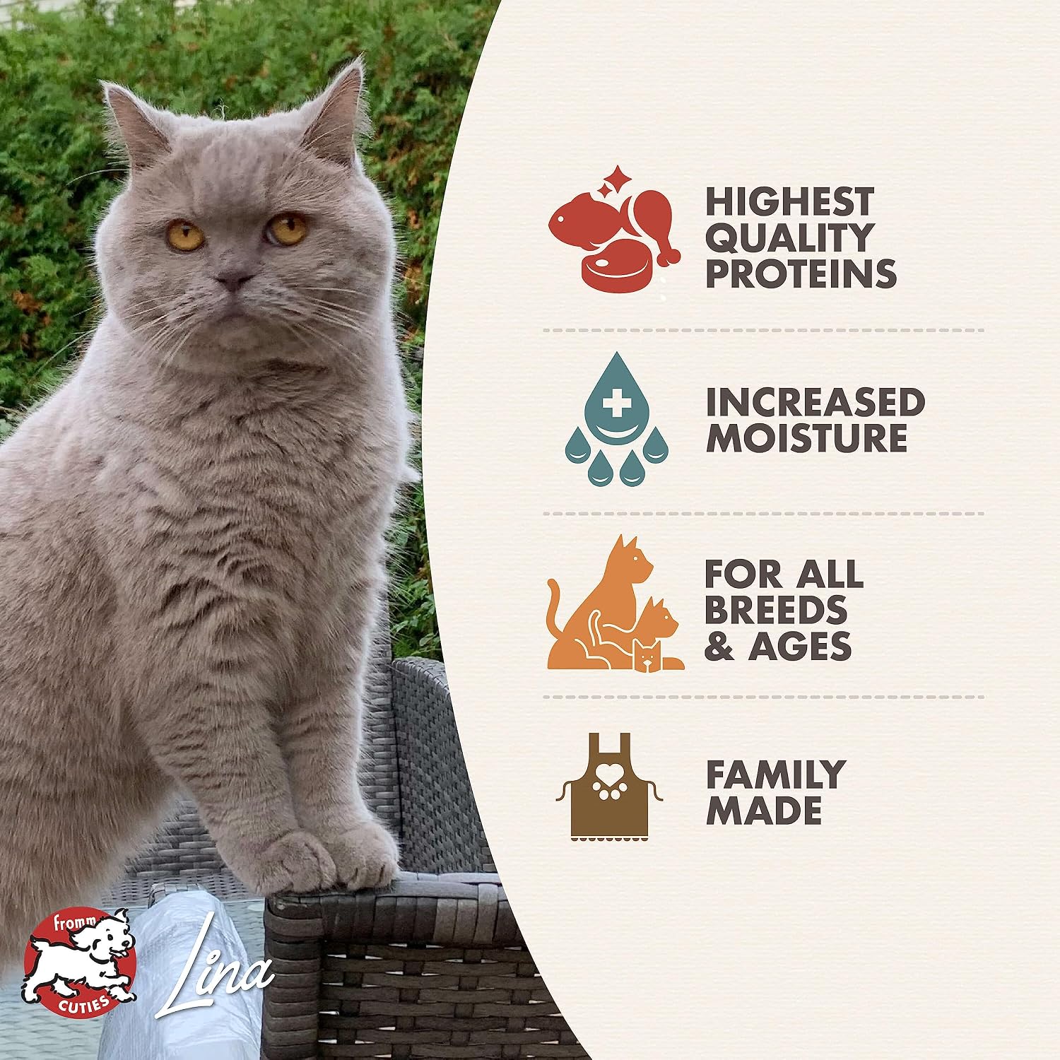 Fromm Four-Star Nutritionals Chicken & Salmon Pate Cat Food - Premium Wet Cat Food - Chicken Recipe - Case of (12) 5.5 oz Cans - Image 3