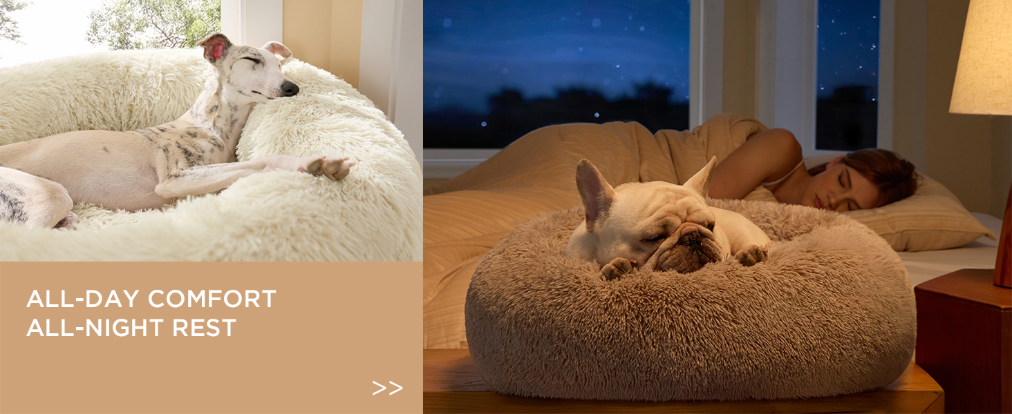 CALMING DOG BED