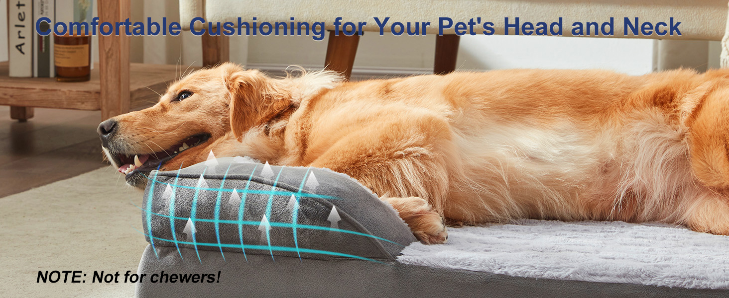 DOG BED