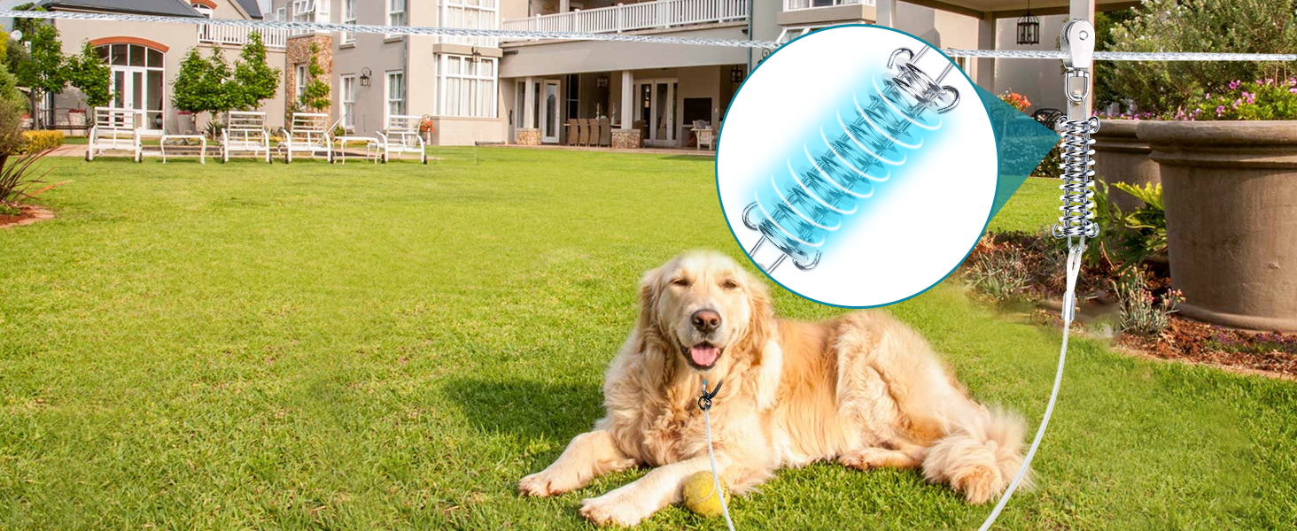 dog runner for yard with spring